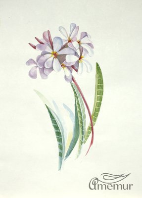 Картина художницы Натальи Ротовой "Цветок акварель"